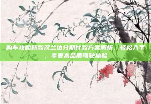 购车攻略新款汉兰达分期付款方案解析,轻松入手,享受高品质驾驶体验