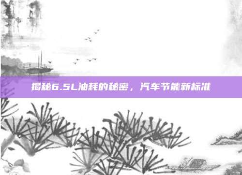揭秘6.5L油耗的秘密,汽车节能新标准