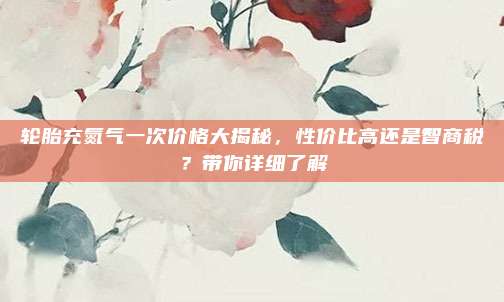 轮胎充氮气一次价格大揭秘,性价比高还是智商税?带你详细了解