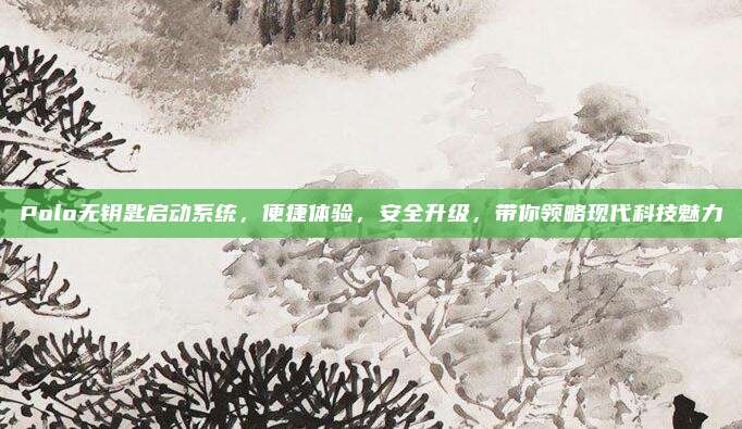 Polo无钥匙启动系统,便捷体验,安全升级,带你领略现代科技魅力