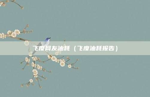 飞度网友油耗（飞度油耗报告）