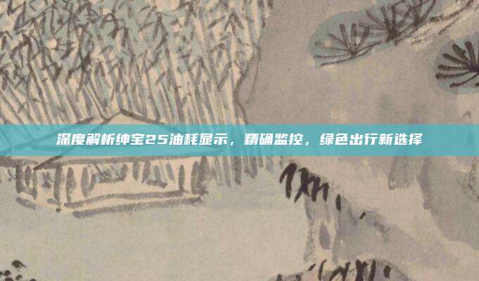深度解析绅宝25油耗显示,精确监控,绿色出行新选择