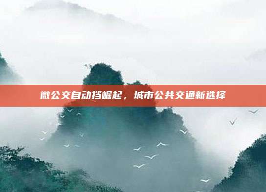 微公交自动挡崛起,城市公共交通新选择
