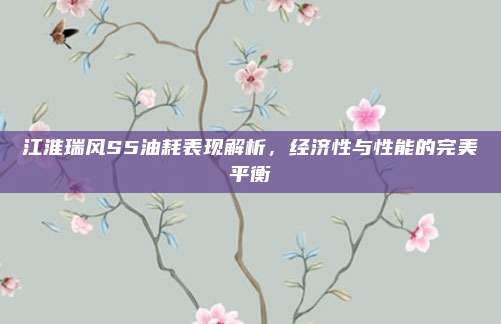 江淮瑞风S5油耗表现解析,经济性与性能的完美平衡