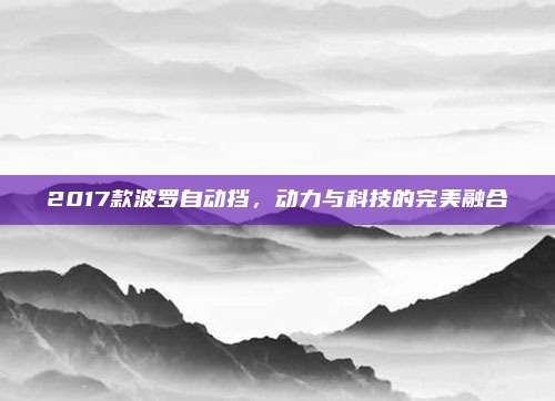 2017款波罗自动挡，动力与科技的完美融合
