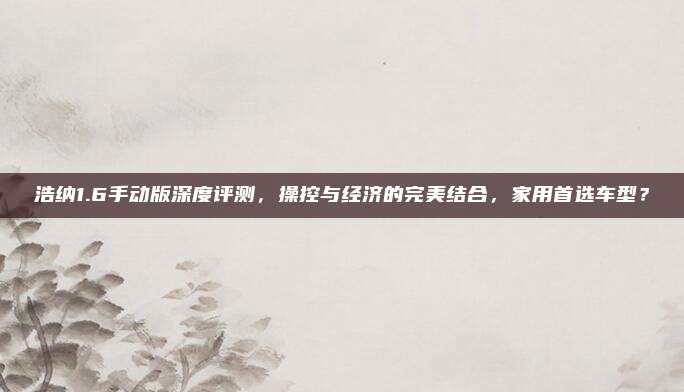 浩纳1.6手动版深度评测,操控与经济的完美结合,家用首选车型?