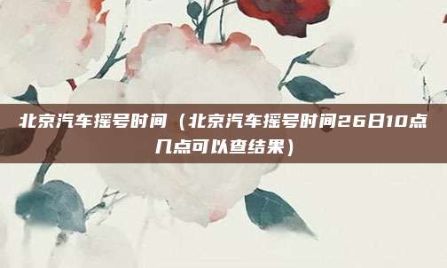 北京汽车摇号时间(北京汽车摇号时间26日10点几点可以查结果)