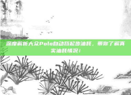 深度解析大众Polo自动挡起步油耗,带你了解真实油耗情况!