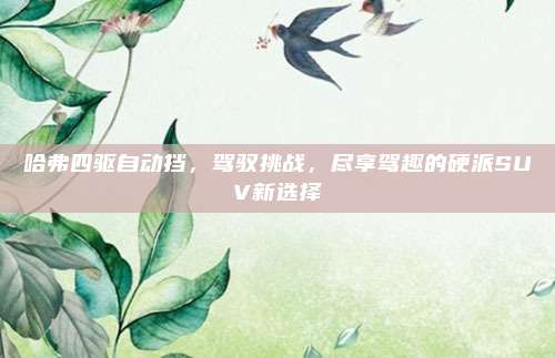 哈弗四驱自动挡,驾驭挑战,尽享驾趣的硬派SUV新选择