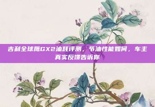 吉利全球鹰GX2油耗评测,节油性能如何,车主真实反馈告诉你