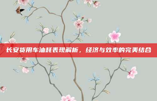 长安货用车油耗表现解析,经济与效率的完美结合