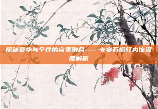 探秘豪华与个性的完美融合——卡宴石榴红内饰深度解析