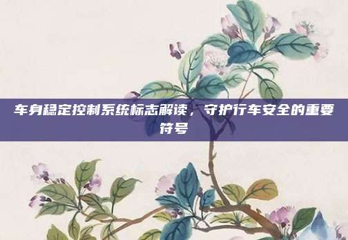车身稳定控制系统标志解读，守护行车安全的重要符号