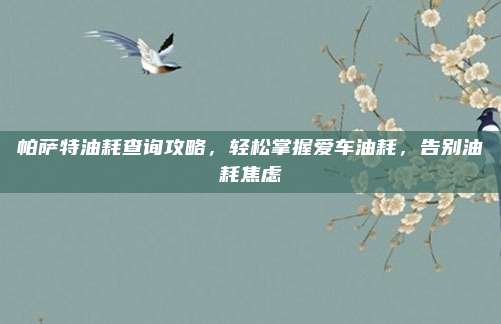 帕萨特油耗查询攻略,轻松掌握爱车油耗,告别油耗焦虑