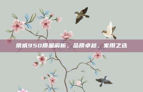 荣威950质量解析,品质卓越,家用之选