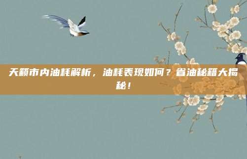 天籁市内油耗解析,油耗表现如何?省油秘籍大揭秘!