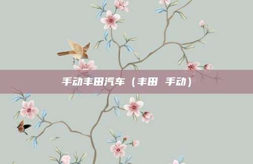 手动丰田汽车（丰田 手动）