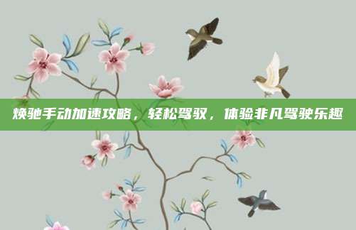 焕驰手动加速攻略,轻松驾驭,体验非凡驾驶乐趣