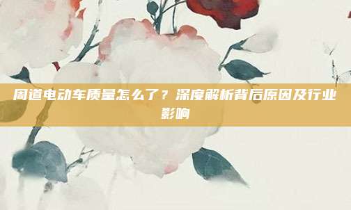 周道电动车质量怎么了?深度解析背后原因及行业影响