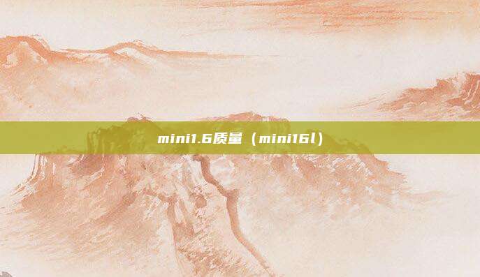 mini1.6质量（mini16l）