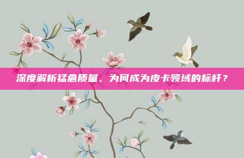深度解析猛禽质量,为何成为皮卡领域的标杆?