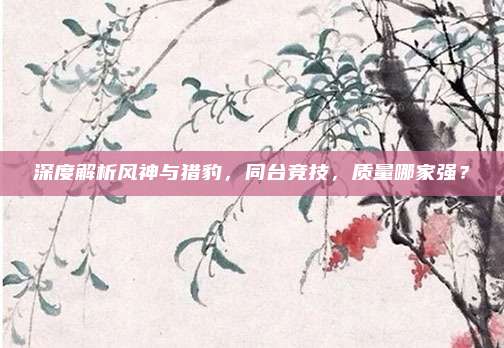 深度解析风神与猎豹,同台竞技,质量哪家强?