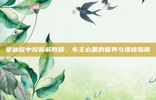 蒙迪欧中控拆解教程,车主必备的保养与维修指南