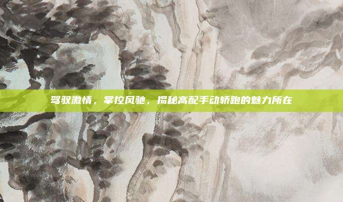 驾驭激情,掌控风驰,揭秘高配手动轿跑的魅力所在