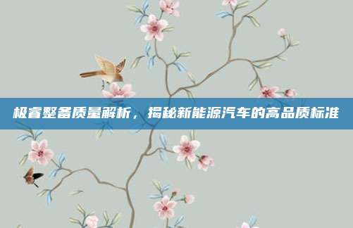 极睿整备质量解析,揭秘新能源汽车的高品质标准