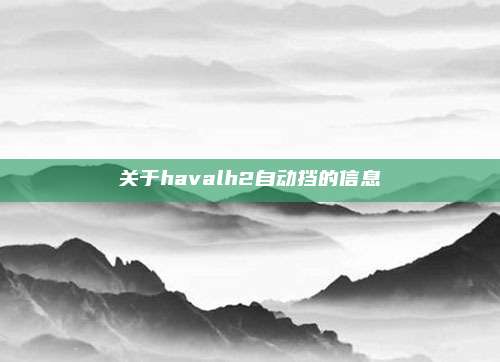 关于havalh2自动挡的信息