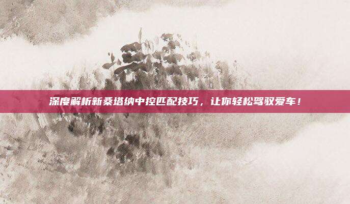 深度解析新桑塔纳中控匹配技巧,让你轻松驾驭爱车!