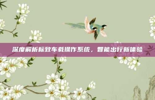 深度解析标致车载操作系统,智能出行新体验