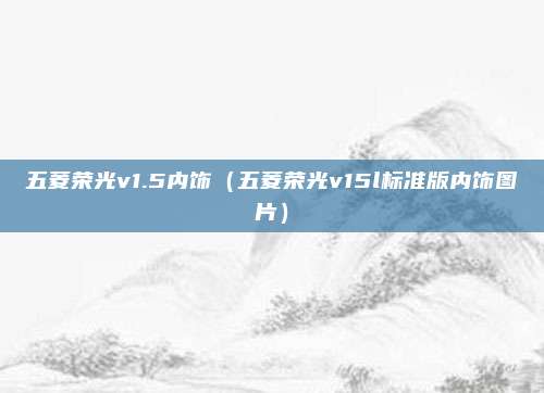五菱荣光v1.5内饰（五菱荣光v15l标准版内饰图片）