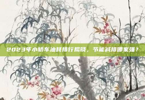 2023年小轿车油耗排行揭晓,节能减排哪家强?