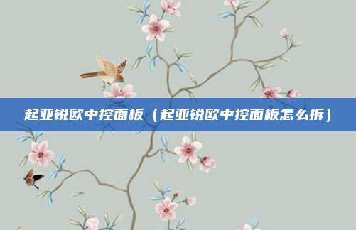 起亚锐欧中控面板（起亚锐欧中控面板怎么拆）