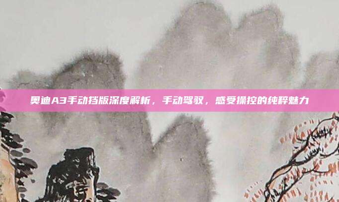 奥迪A3手动挡版深度解析,手动驾驭,感受操控的纯粹魅力
