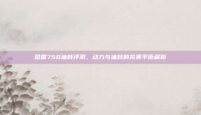 哈雷750油耗评测,动力与油耗的完美平衡解析