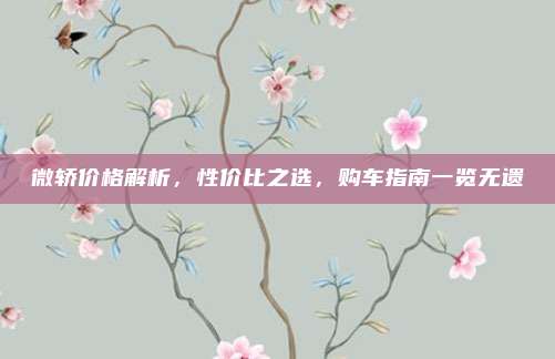 微轿价格解析，性价比之选，购车指南一览无遗