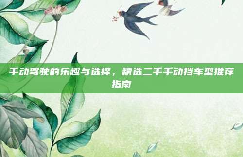 手动驾驶的乐趣与选择,精选二手手动挡车型推荐指南