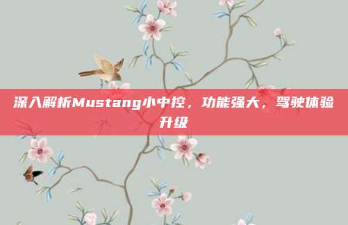 深入解析Mustang小中控，功能强大，驾驶体验升级