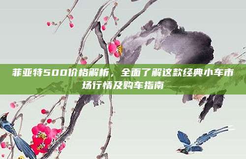 菲亚特500价格解析,全面了解这款经典小车市场行情及购车指南