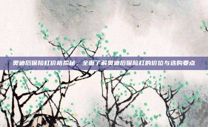 奥迪后保险杠价格揭秘，全面了解奥迪后保险杠的价位与选购要点