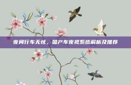 夜间行车无忧,国产车夜视系统解析及推荐
