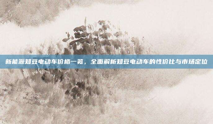新能源知豆电动车价格一览,全面解析知豆电动车的性价比与市场定位