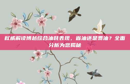 权威解读博越综合油耗表现,省油还是费油?全面分析为您揭秘