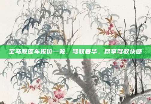 宝马敞篷车报价一览,驾驭奢华,尽享驾驭快感