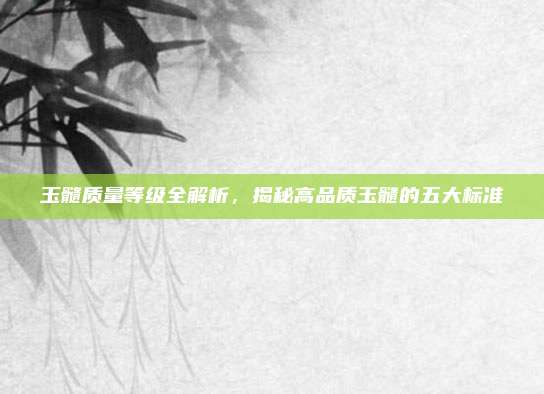 玉髓质量等级全解析，揭秘高品质玉髓的五大标准