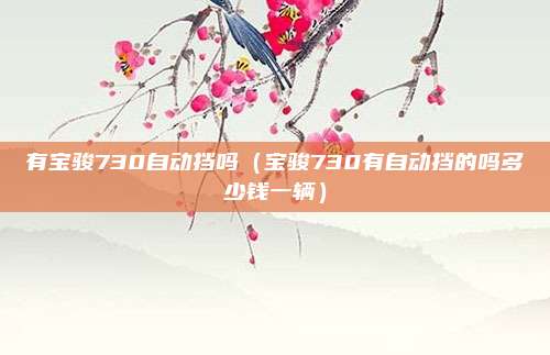 有宝骏730自动挡吗（宝骏730有自动挡的吗多少钱一辆）