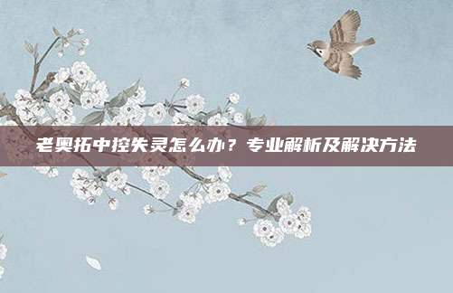 老奥拓中控失灵怎么办?专业解析及解决方法