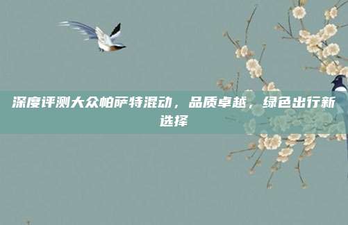 深度评测大众帕萨特混动,品质卓越,绿色出行新选择
